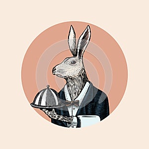 Hare waiter with a dish. Rabbit flunky or garcon. Fashion animal character. Hand drawn sketch. Vector engraved