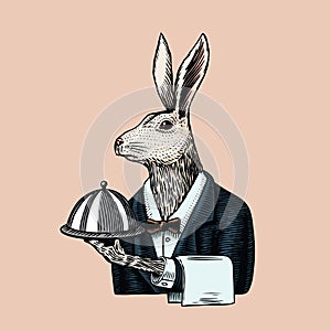 Hare waiter with a dish. Rabbit flunky or garcon. Fashion animal character. Hand drawn sketch. Vector engraved