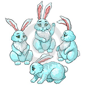 Hares in different poses. Four vector character. Outlined colored drawing