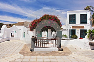 Haria, Lanzarote