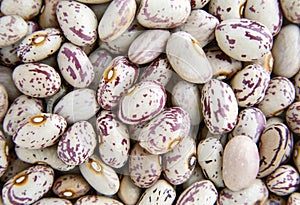 Haricot beans