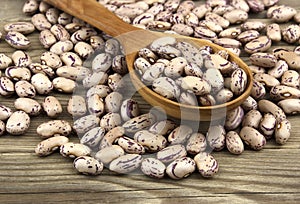 Haricot beans in a wooden spoon on wooden background