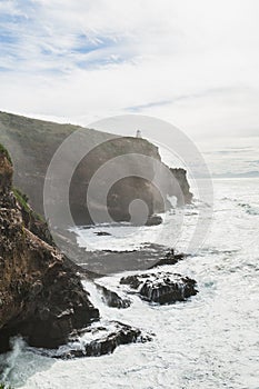 Harigton point, Coastal view, Pacific coast of New Zealand, Otago Peninsula