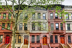 Harlem Brownstones - New York City photo