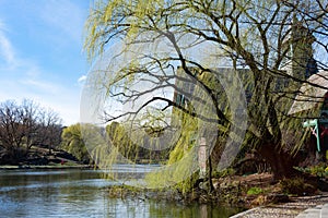 The Harlem Meer at Central Park in New York City during Spring