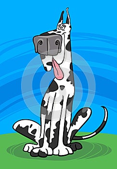 Harlequin dog cartoon illustration