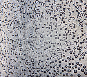 Harmonic backgrounds. Air bubbles in water bleb on bright, smooth surface