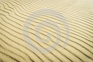 Harmonic pattern of rippled sand surface on beach. Climate change, global warming concept.