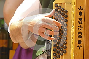 Harmonica or accordion musical instrument