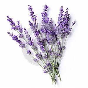 Harmonious Lavender Bouquet: A Symbolic Sumatraism In Monochromatic Style