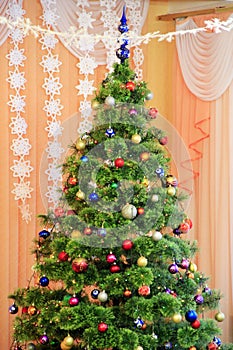 Harmonous and dressed up New Year`s tree in room