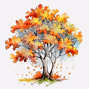 Harmony of Autumn\'s Canopy: Maple Tree Watercolor Isolated on White Background - Generative AI