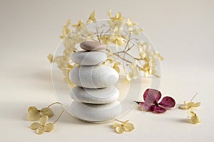 Harmony and balance, cairns, dry hydrangea white and red flowers