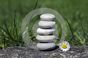 Harmony and balance, simple pebbles tower and daisy flower in bloom in the grass, simplicity, five stones