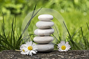 Harmony and balance, simple pebbles tower and daisy flowers in bloom in the grass, simplicity, five stones