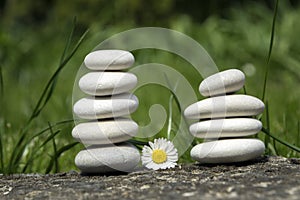 Harmony and balance, two simple pebbles towers and daisy flower in bloom in the grass, simplicity, five stones
