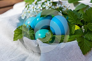 Harmony in a Basket: Blue and Green Eggs