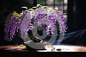 Harmony in Bloom: A Pot Table Bonsai Tree\'s Purple Flowered Jour