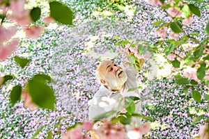 Harmony concept. mature man looking up with hope. happy man under spring sakura blossom. daydreaming. Happy smiling