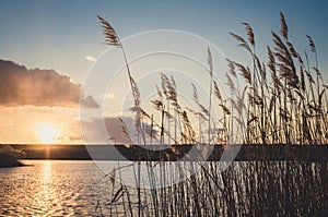 The harmony of nature. A quiet sunset over the lake in early spring