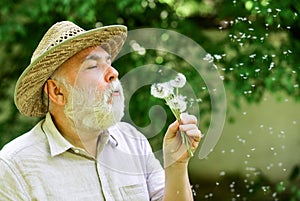 Harmony of soul. Elderly man in straw summer hat. Grandpa senior man blowing dandelion seeds in park. Mental health