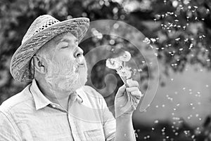 Harmony of soul. Elderly man in straw summer hat. Grandpa senior man blowing dandelion seeds in park. Mental health