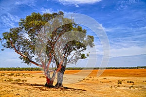 Harms Lake orange ground and blue sky