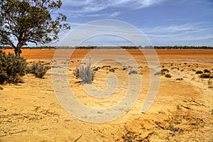 Harms Lake rest area in Western Australia