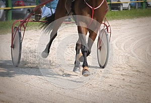 Harness racing