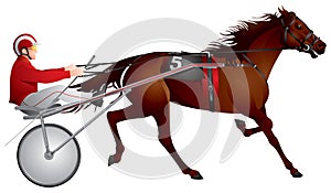 Harness racing, horse, race