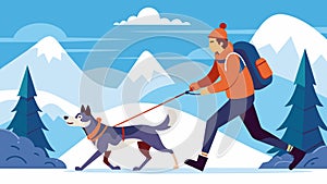 Harnessed to their eager canine companion a snowobsessed adventurer explores the wilderness in a fastpaced skijoring