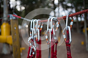 Harnesses hanging on rope in the forest