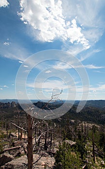 Harney Peak / Black Elk Peak hiking trail number 9 in Custer State Peak in the Black Hills of South Dakota USA