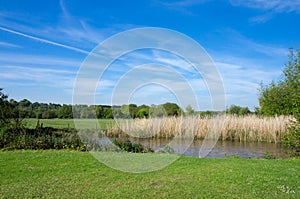 Harnham Water Meadow, Salisbury, England