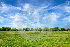 Harnham Water Meadow, Salisbury, England