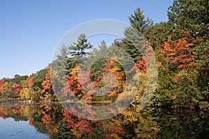 Harold Parker State Park in the Autumn