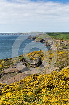 Haroldstone Chins Wales Coast Path near Broad haven