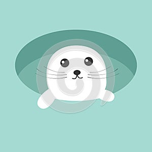 Harp baby seal pup. Ice-hole Cute cartoon character. Blue background. Flat design