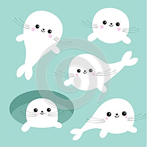 Harp baby seal pup set. Cute cartoon character. Ice-hole. Happy baby animal collection. Blue background. Flat design