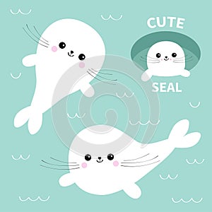 Harp baby seal pup set. Cute cartoon character. Ice-hole. Happy baby animal collection. Swimming floating on water with wave. Blue