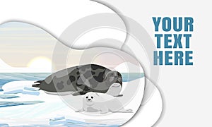 A harp seal with a puppy lie on the shores of the Arctic Ocean. Mammals animals of the Arctic. Realistic vector landscape. Landing