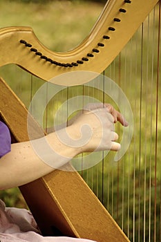 Harp String Harmony