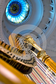 Harp strings close up