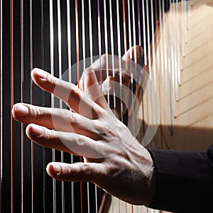 Harp hands