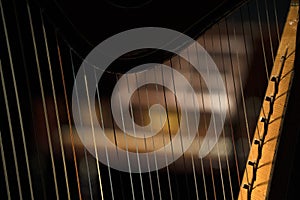 Harp strings detail close up isolated on black