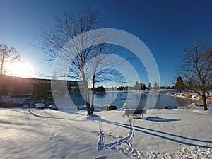 Harper College winter landscape