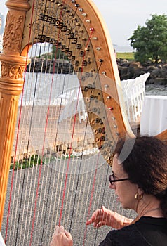 Harpist