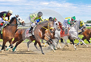 Harpoon - Frankie Pennington