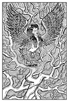 Harpy. Engraved fantasy illustration
