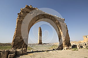 Harran Tumulus, Sanliurfa